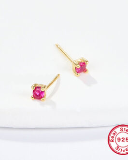 Pendientes plata brillante fucsia