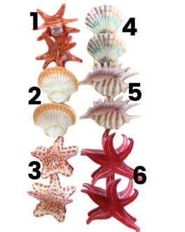 Pinzas cabello elementos marinos