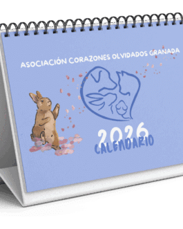 Calendarios Solidarios 2026 de Corazones Olvidados